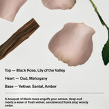 Body Lotion | Black Rose Oud