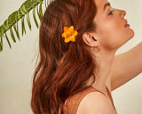 Enchanted Island Conditioner