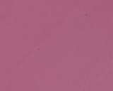 Balmy Gloss Tinted Lip Oil