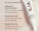 lip wrap reviving balm | lip balm